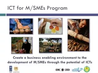 ICT for M/SMEs Program