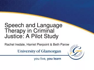 Speech and Language Therapy in Criminal Justice: A Pilot Study