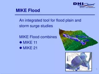 MIKE Flood