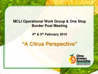 MCLI Operational Work Group &amp; One Stop Border Post Meeting 4 th &amp; 5 th February 2010