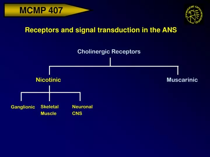 receptors and signal transduction in the ans