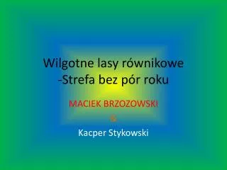 wilgotne lasy r wnikowe strefa bez p r roku