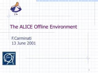 The ALICE Offline Environment