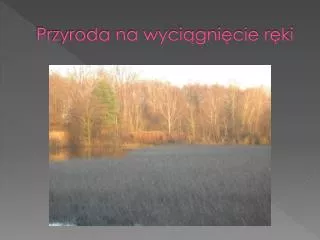 przyroda na wyci gni cie r ki