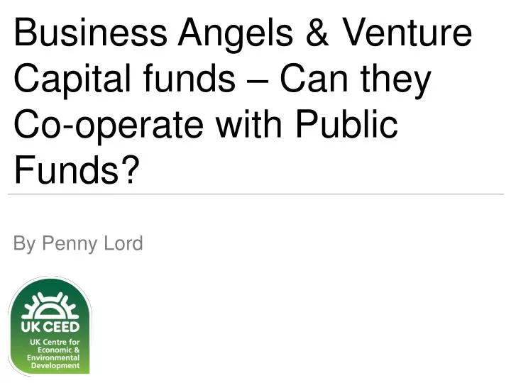 business angels venture capital funds can they co operate with public funds