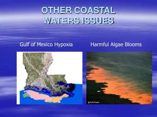 OTHER COASTAL WATERS ISSUES