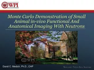 Monte Carlo Demonstration of Small Animal in-vivo Functional And Anatomical Imaging With Neutrons