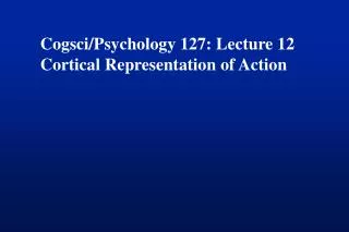 Cogsci/Psychology 127: Lecture 12 Cortical Representation of Action