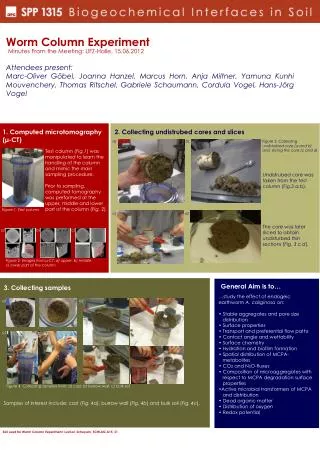 Worm Column Experiment