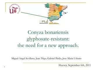 Conyza bonariensis glyphosate-resistant: the need for a new approach.