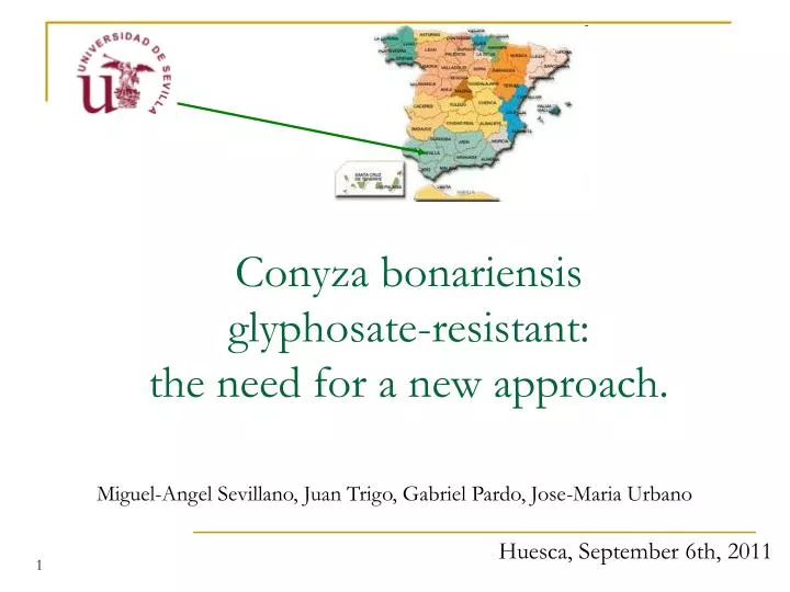 conyza bonariensis glyphosate resistant the need for a new approach