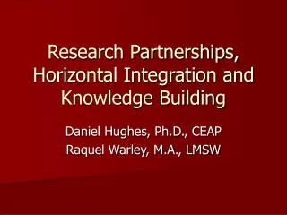 Research Partnerships, Horizontal Integration and Knowledge Building