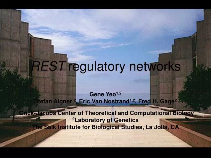 rest regulatory networks