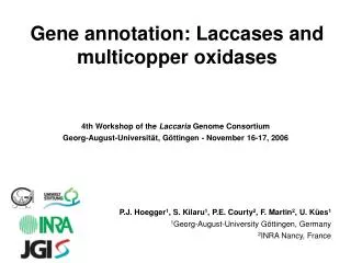 Gene annotation: Laccases and multicopper oxidases