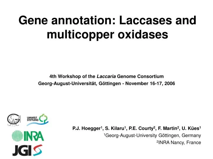 gene annotation laccases and multicopper oxidases