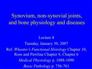 Synovium, non-synovial joints, and bone physiology and diseases