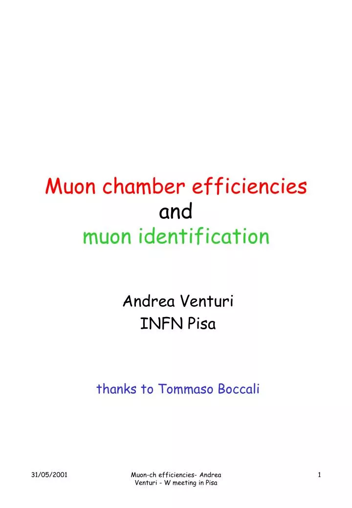 muon chamber efficiencies and muon identification