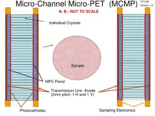 Micro-Channel Micro-PET (MCMP)