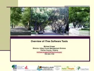 Overview of iTree Software Tools Michael Knapp Director, Urban Forest Management Division