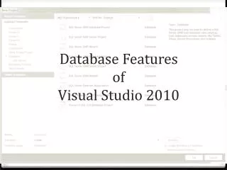 Database Features of Visual Studio 2010