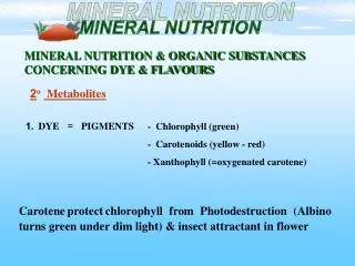 MINERAL NUTRITION