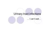 PPT - Urinary Tract Infections PowerPoint Presentation, Free Download ...