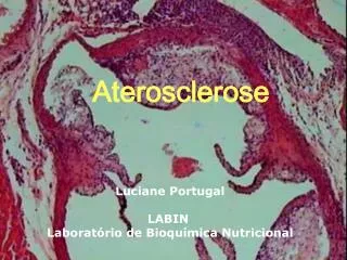 Luciane Portugal LABIN Laboratório de Bioquímica Nutricional