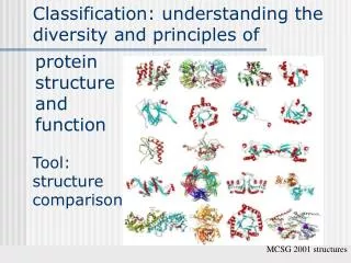 Classification: understanding the diversity and principles of
