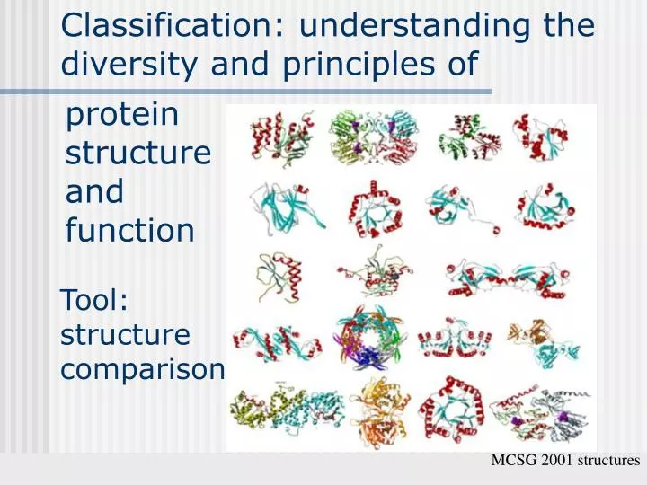 classification understanding the diversity and principles of