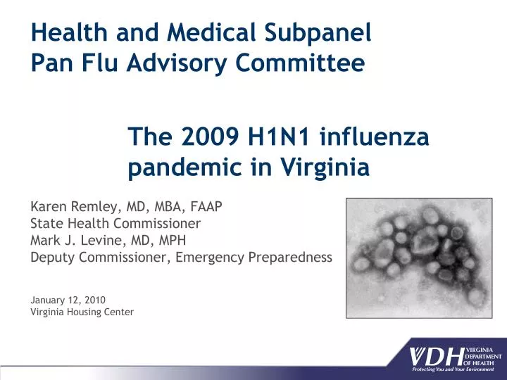 health and medical subpanel pan flu advisory committee