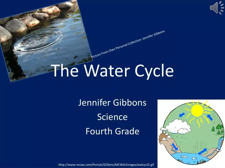 the water cycle