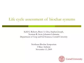 Life cycle assessment of biochar systems