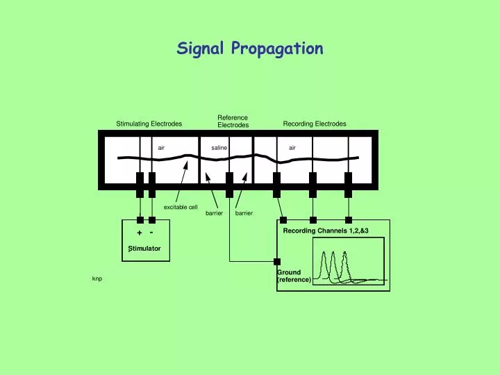 signal propagation