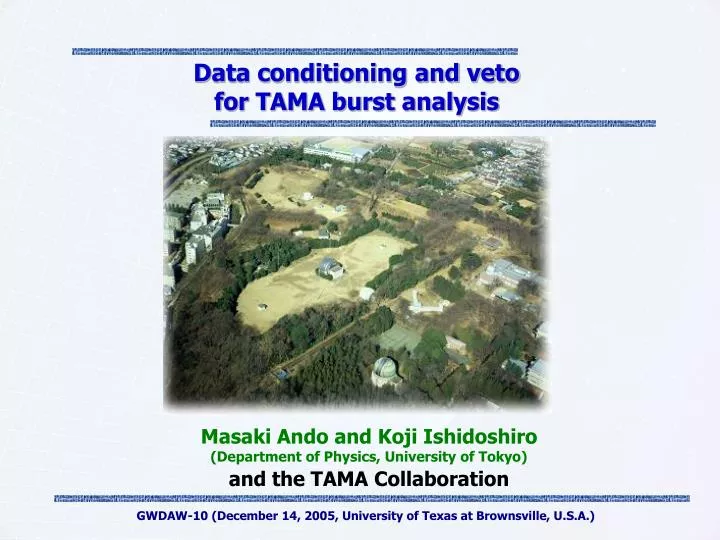 data conditioning and veto for tama burst analysis