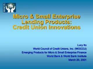 Micro &amp; Small Enterprise Lending Products: Credit Union Innovations