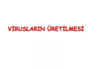 v ruslarin ret lmes