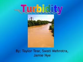 By: Taylor Tear, Swati Mehrotra, Jamie Nye