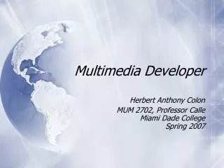 Multimedia Developer