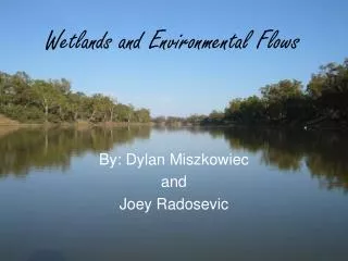 Wetlands and Environmental Flows
