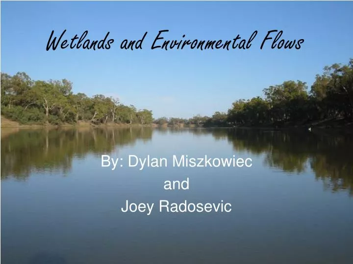 wetlands and environmental flows