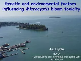Genetic and environmental factors influencing Microcystis bloom toxicity