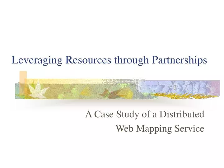 leveraging resources through partnerships