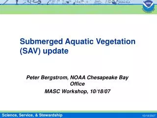 Submerged Aquatic Vegetation (SAV) update