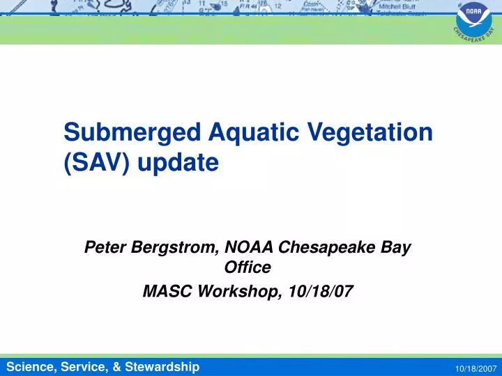 submerged aquatic vegetation sav update