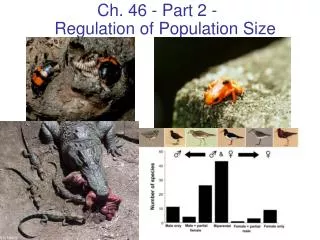 Ch. 46 - Part 2 - Regulation of Population Size