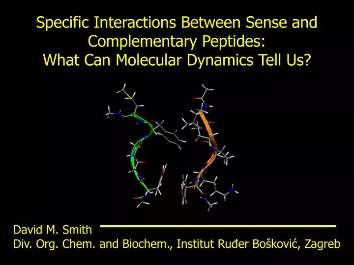 specific interactions between sense and complementary peptides what can molecular dynamics tell us