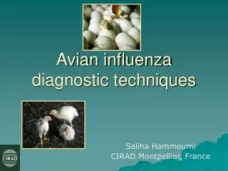 Avian influenza diagnostic techniques