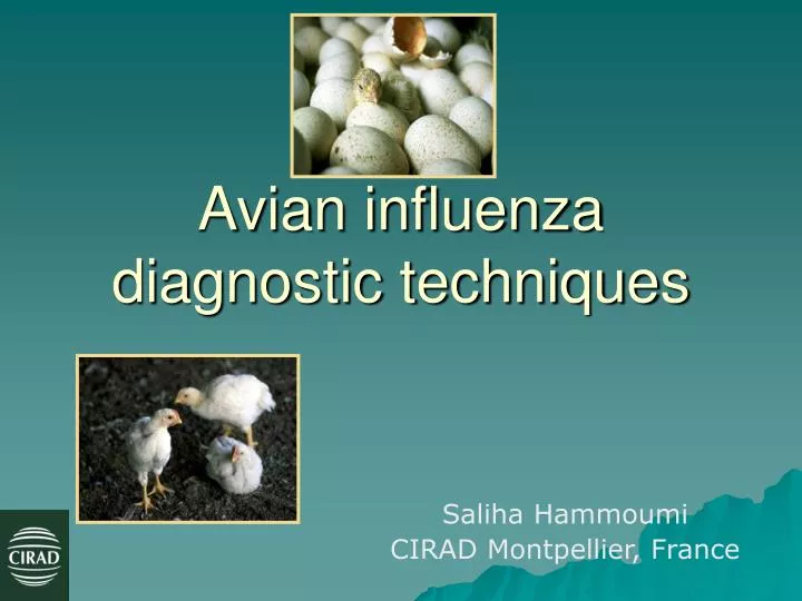 avian influenza diagnostic techniques