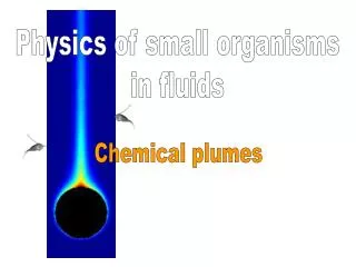 Chemical plumes