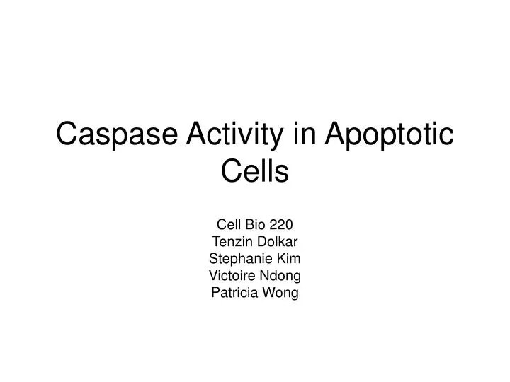 caspase activity in apoptotic cells